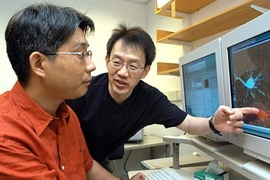 Neuroscience professor Morgan Sheng points to image of glutamate receptors as he and MIT postdoctoral fellow Sang Hyoung Lee discuss their work on how brain cells build and eliminate synapses.