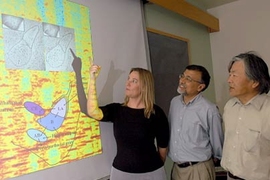 MIT post-doc Jessica R. Newton points at a respresentation of a section of a mouse's brain that had been "rewired" to receive visual cues in the hearing region of its brain. Looking on are neuroscience professor Mriganka Sur, center, head of the Department of Brain and Cognititve Sciences, and Susumu Tonegawa, director of the Picower Center for Learning and Memory at MIT.