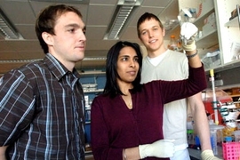 From left, Todd Harris, graduate student in the MIT-Harvard Division of Health Sciences &amp; Technology (HST), Sangeeta Bhatia, professor in HST, and Geoffrey von Maltzahn, graduate student in HST, view two solutions of enzyme-activated nanoparticles. The enzymes cause the nanoparticles to self-assemble into large aggregates that fall out of solution.