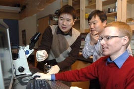 Graduate student Jianping Fu (left), Professor Jongyoon Han and postdoc Reto Schoch have created a microchip system that allows speedy separation and sorting of biomolecules.