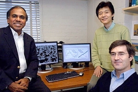MIT researchers have developed a dynamic new model that can analyze the mechanics of red blood cell deformation at the molecular level. From left to right, the team includes Subra Suresh, professor of materials science and engineering, research scientist Ming Dao and postdoctoral associate George Lykotrafitis.