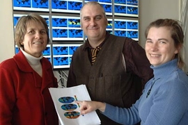 MIT professor Penny Chisholm, left, and principal research scientists Mick Follows and Stephanie Dutkiewicz have created an ocean model in which the populations of "sown" microbes precisely mimic real-world patterns of the same organisms.