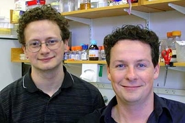 Whitehead postdoctoral students Stuart Levine and Matthew Guenther