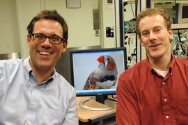 By studying songbirds, McGovern's Professor Michale Fee, left, and post-doc Michael Long move closer to understanding how timing is represented within the brain.
