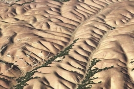 Perspective view of Gabilan Mesa, California, showing evenly spaced ridges and valleys. The scene, which is approximately 2 km wide, combines aerial photographs from the National Agriculture Imagery Program with laser altimetry from the National Center for Airborne Laser Mapping (NCALM).