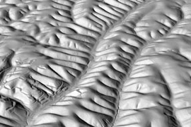 Perspective view of Gabilan Mesa, California, showing evenly spaced ridges and valleys. The scene, which is approximately 2 km wide, is a shaded relief map based on laser altimetry from the National Center for Airborne Laser Mapping (NCALM).