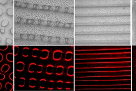 Images show textures (top) and fluorescent light (bottom) produced by the new synthetic elastomer material that can mimic some of the camouflage abilities of octopuses and other cephalopods.