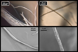 Microscope images of lab-produced fibers confirm the results of the MIT researchers' simulations of spider silk. At top are optical microscope images, and, at bottom, are scanning electron microscope images. At left are fibers 8 micrometers across, and, at right, are thinner, 3 micrometer fibers.
