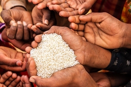 About 30 percent of Indonesia’s households are supposed to receive subsidized rice from the government every month as part of a huge program called “Raskin,” or “Rice for the Poor.” The study shows that the amount of rice the villagers actually receive increases 26 percent when they are sent a simple information card with program details. 