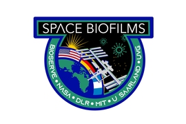 NASA’s official mission patch for the upcoming space biofilms experiment, developed at MIT and the University of Colorado, which is scheduled to be sent to the International Space Station.