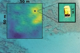 Even in unexplored waters, an MIT-developed robotic system can efficiently sniff out valuable, hard-to-find spots to collect samples from. When implemented in autonomous boats deployed off the coast of Barbados (pictured), the system quickly found the most exposed coral head —meaning it was located in the shallowest spot — which is useful for studying how sun exposure impacts coral organisms.