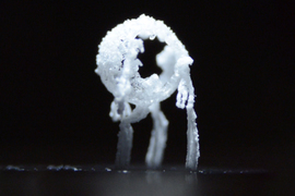 salt crystallized critter