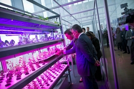 Turkish president Abdullah Gul (nearest to camera) examines an urban agriculture project in the MIT Media Lab.