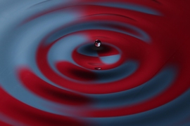 Close-ups of an experiment conducted by John Bush and his student Daniel Harris, in which a bouncing droplet of fluid was propelled across a fluid bath by waves it generated.