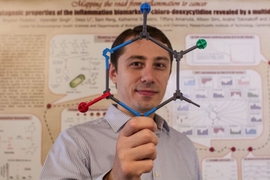 Bogdan Fedeles holds up a model of 5-chlorocytosine, a mutagenic DNA lesion occurring in inflamed tissues that may explain the link between chronic inflammation and cancer.